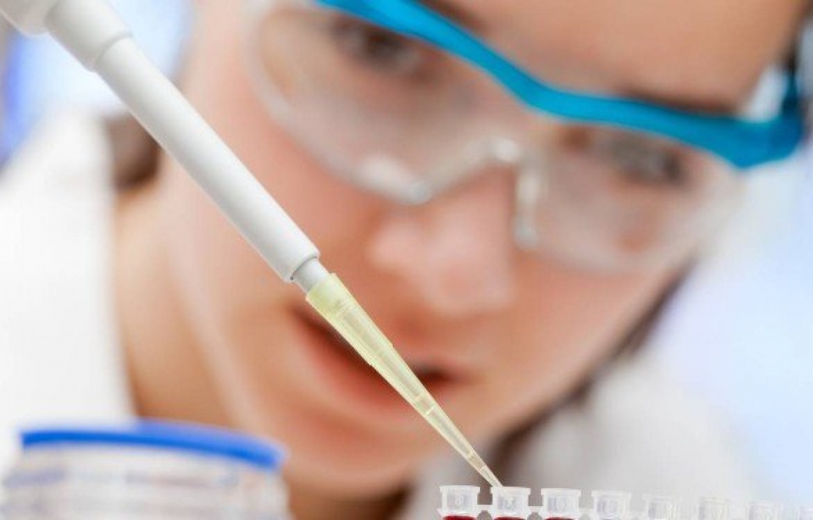 xciencia.jpg.pagespeed.ic.u8FnjIYuDy.jpg