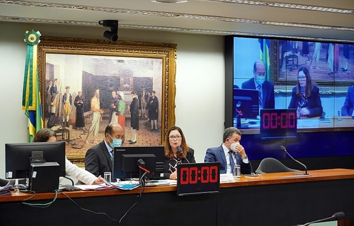 Camara-dos-deputados-Valadares-Comissao-de-constituicao-e-justica-reforma-administrativa-2021-1.jpeg